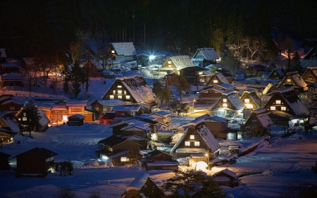 Winter Night - night, village, house, snow