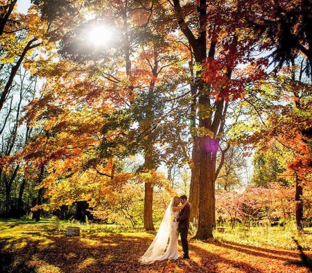 Wedding on a Autumn Day - Wedding, Autumn, Couple, Nature