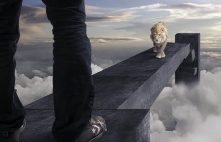 Face to face - creative, man, black, fantasy, white, animal, cloud, situation, lion