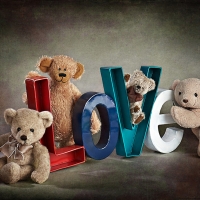 Bear Love