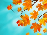 Autumn leaves