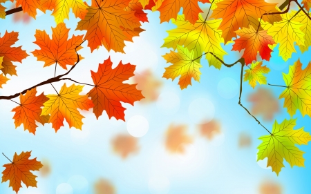 Autumn leaves - sky, autumn, branch, blue, orange, green, leaf