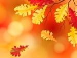 Autumn leaves