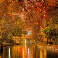 christmas light in a tree over a city river hdr