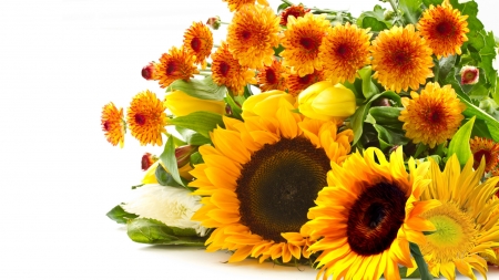 Sunflowers and Chrysanthemums - chrysanthemums, sunflowers, yellow, summer, gold, fall, Firefox Persona theme, tulips, autumn