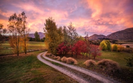 early morning near queenstown new zealand hdr - morning, nature, trees, clouds, countryside, hdr, road, sunrise