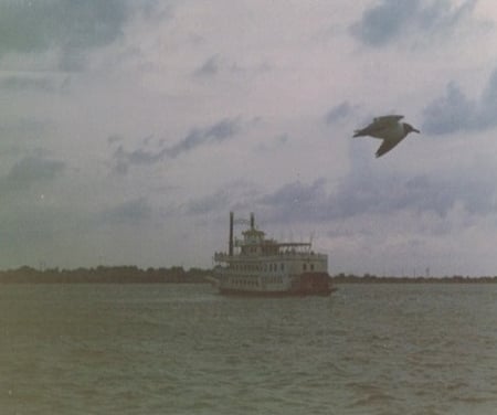 gulf of mexico - gulf, nature, ship, ocean