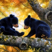 Bear Cubs in Fall