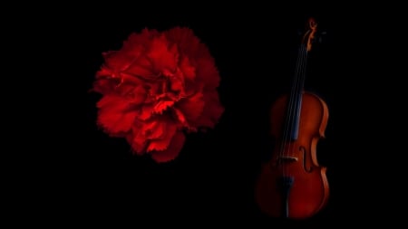 Violin - background, flower, love, violin