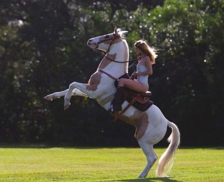 Friends - girl, friends, love, horse