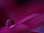 Droplet