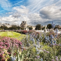 the tuileries gardens in paris hdr