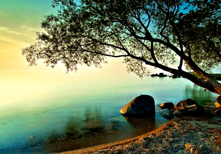 Under the last Rays - lake, trees, nature, sun