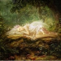 Forest Fairy Lying