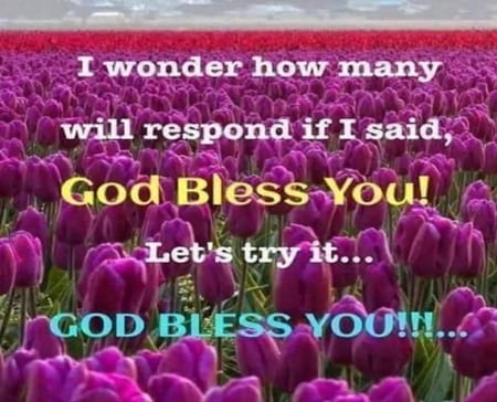 GOD BLESS YOU - god bless you, nature garden, flowers, bible verse, religious, christian message