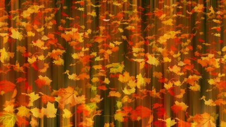 Fall in Motion - forest, nature, leaves, autumn