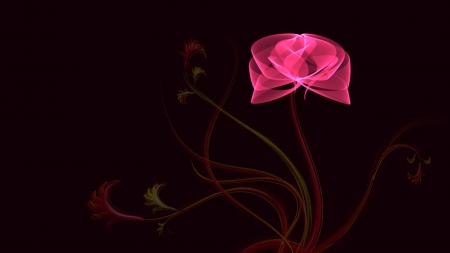 Rose - abstract, cg, rose, wp