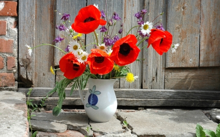 Poppies - daisies, flowers, vase, blossoms, red, petals, bouquet