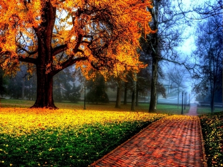 Autumn road Greece - autumn, garden, road, greece, park