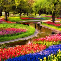 amazing flower festival in showa kinen park japan hdr