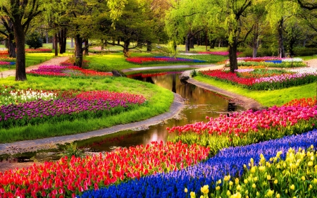 amazing flower festival in showa kinen park japan hdr - lawn, trees, park, hdr, flowers, strem