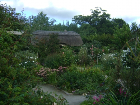 Rosemoor cottage garden