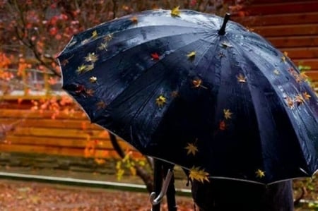 Autumn Rain - nature, autumn, umbrella, fall leaves, rain