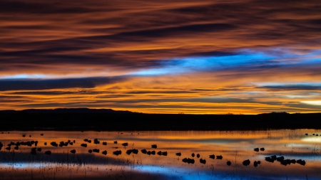 Amazing Nature - nature, sunset, sea, clouds