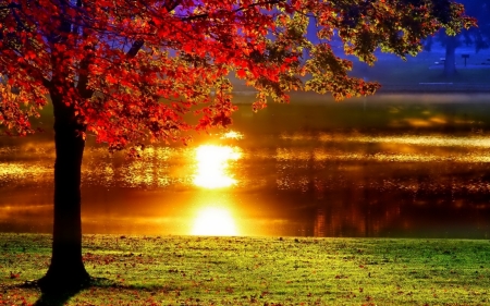 Lake Sunset - fall, sunset, nature, autumn, lake, reflection