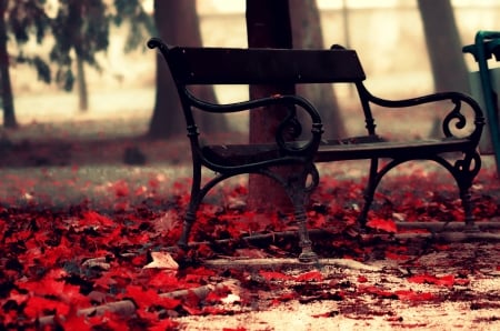 Red Autumn ♥ - fall, beautiful, autumn, red, photography, bench, leaves