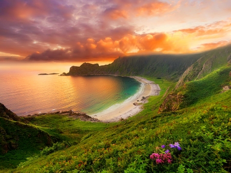 Lonely beach - clouds, lonely, amazing, beach, sea, grass, ocean, wildflowers, sunset, view, fiery, sands, sky, bay