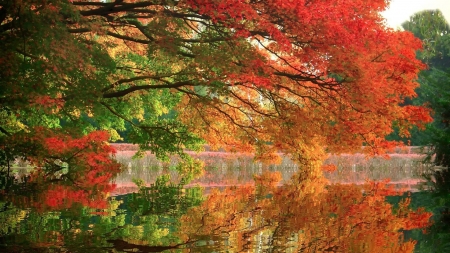 Beauty of Autumn - lake, trees, reflection, autumn