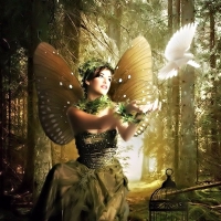 Fairy with Dove