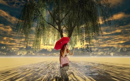 girl with an umbrella under a willow tree on a rainy day - tree, girl, umbrella, rain