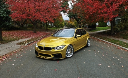 ❤ - Bmw, car, beautiful, autumn