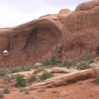 Herd of Elephants, Moab, Utah