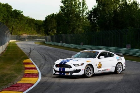 2015-Ford-Mustang-GT350 - white, ford, track, 2015