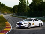 2015-Ford-Mustang-GT350