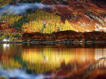 Autumn - forest, water, reflection, autumn