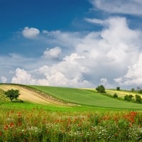 Landscape in Austria