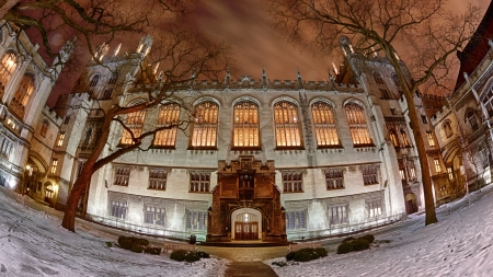 harper library at chicago university in winter hdr - library, fisheye, trees, winter, night, hdr