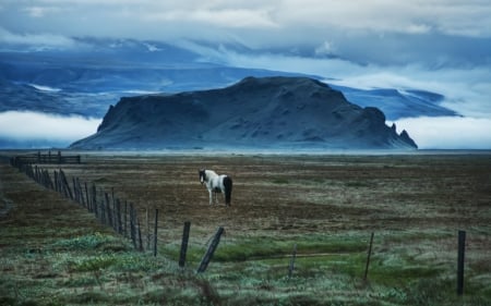 horse grazing under a massive rock - rock, horse, mountains, graze, clouds, fields