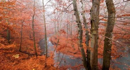 Autumn River - fall, river, forest, lakes