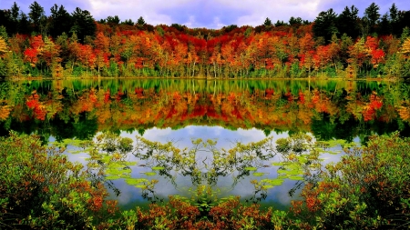 Autumn Forest Lake - nature, autumn, lake, trees, reflection, forest