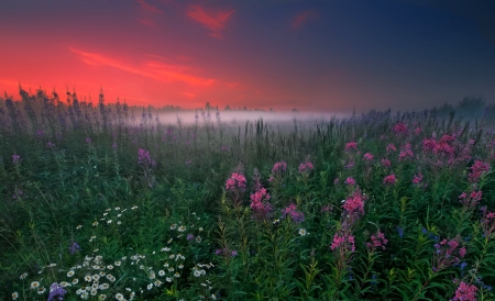 Splendid our planet - cloud, lake, flower, sunset