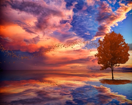 Splendor - nature, autumn, beach, trees, clouds, sunsets, water, weather