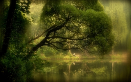 Marvelous - green, tree, forest, river