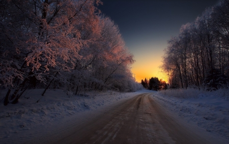 Winter sunset - winter, amazing, sunset, snow