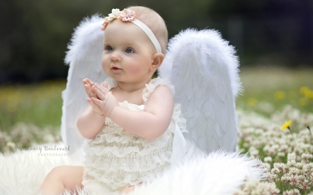 Little angel - roses, angel, wings, white, baby, feather, green, cute, grass, little, kid, inger, girl, fetita, summer, set, child, copil, pink, sweet, flower