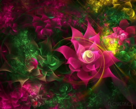 Abstract roses - fractal, black, rose, abstract, luminos, pink, green, texture, flower